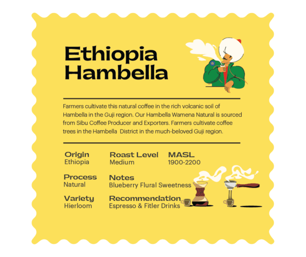 Speciality Ethiopia Hambella - Image 2